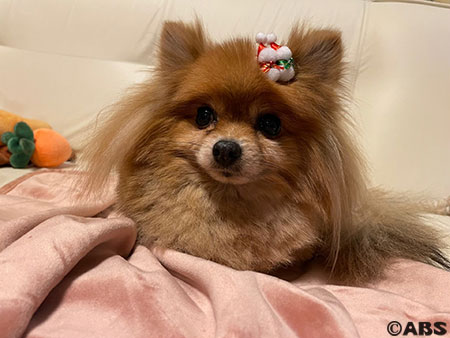 ミク雪だるま