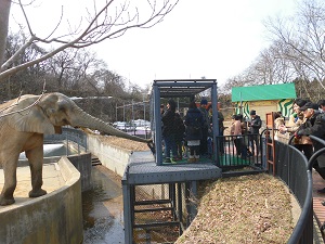 動物園5