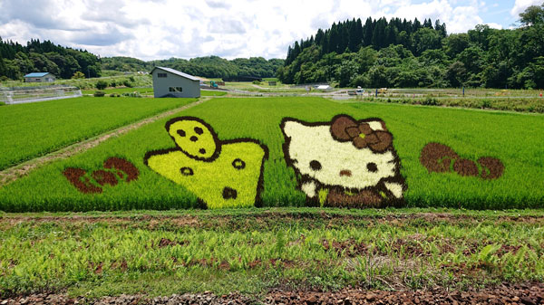 田んぼアート