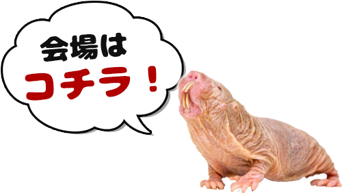 会場はコチラ