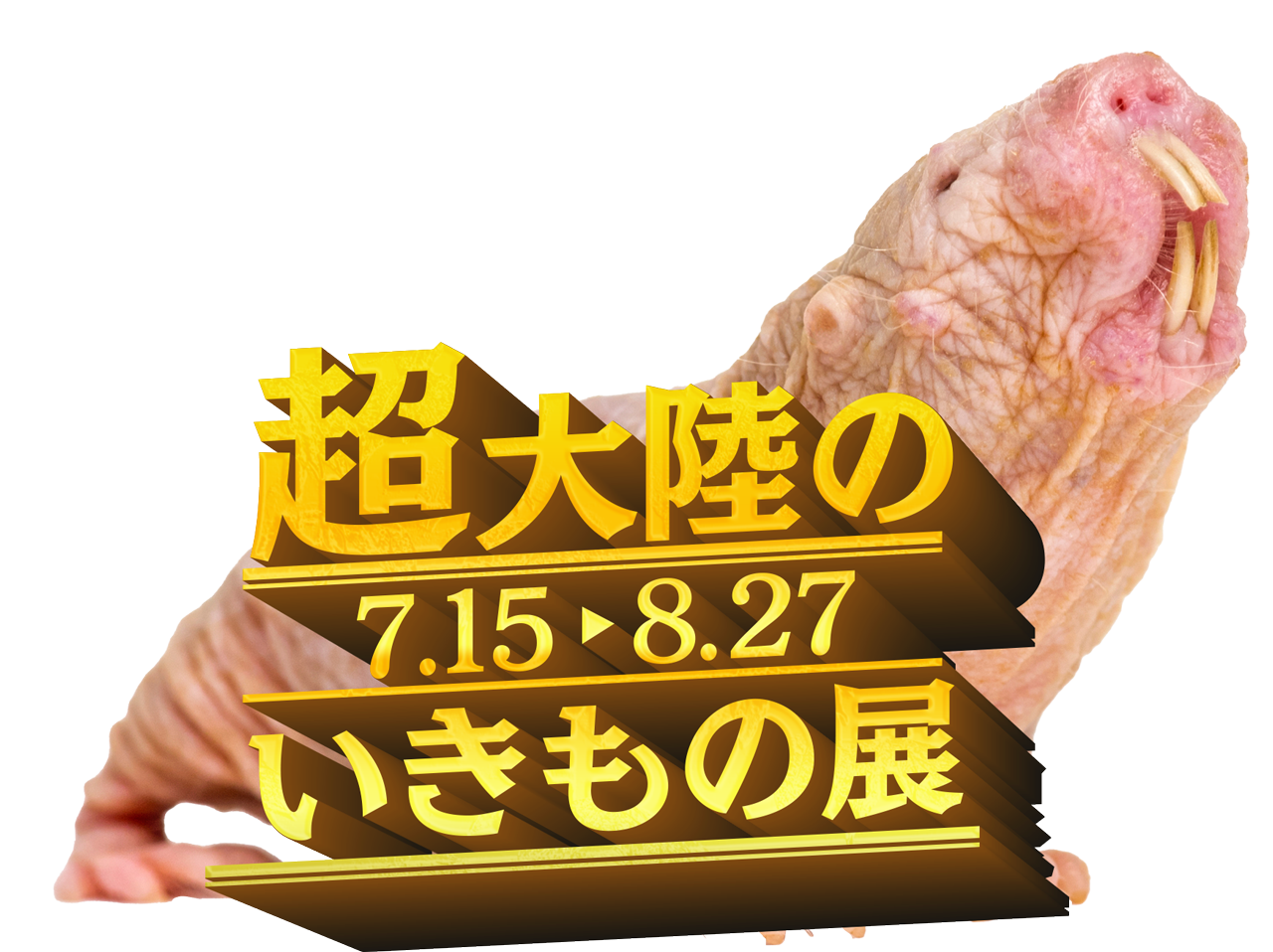 ぶっとんでるいきもの展