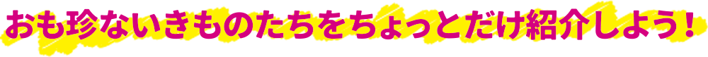 地球地図+超大陸の末裔たち32種類
