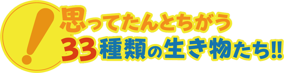 思ってたんとちがう33種類の生き物たち!!