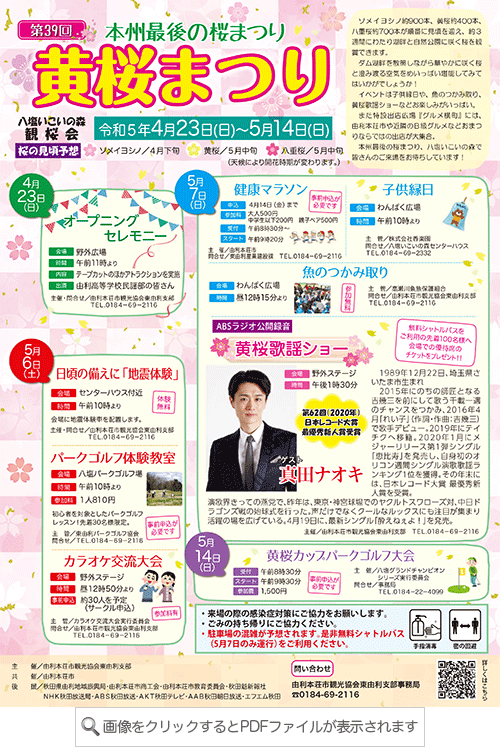 黄桜まつり　チラシ