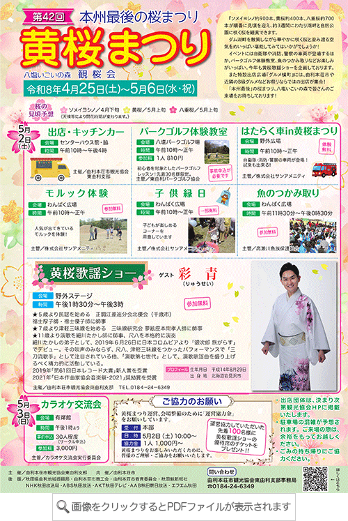 黄桜まつり　チラシ