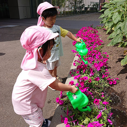 ぽっぽランドこまちの園児が、お水やりにきてくれました