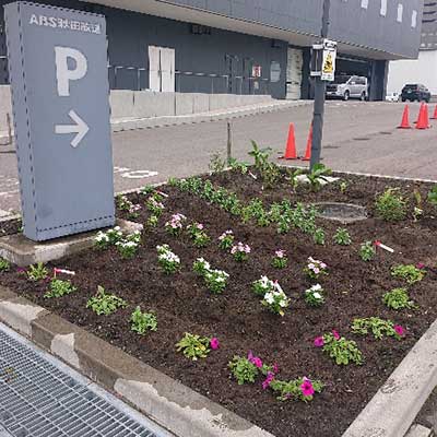 通用口側の花壇