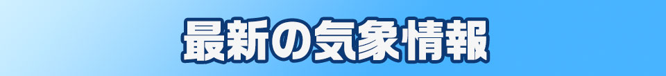 大雨に関する情報