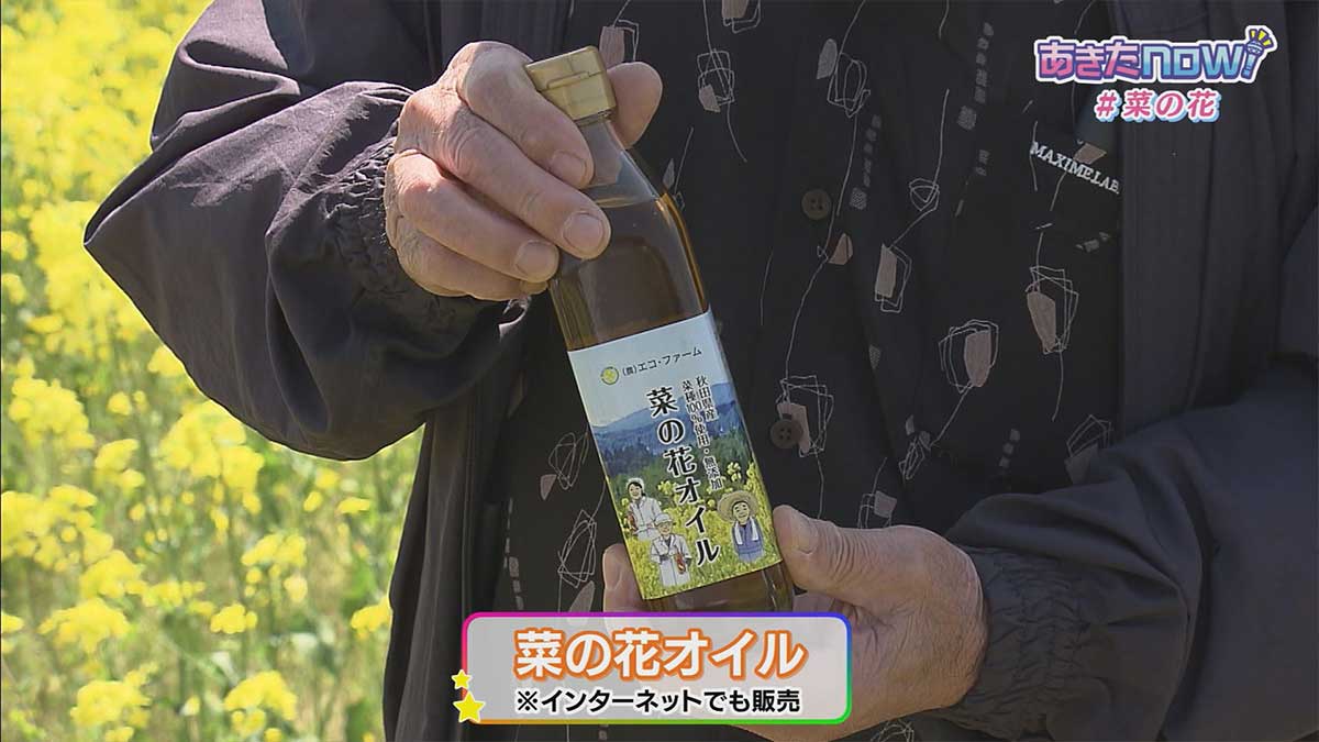 菜の花畑　大仙市協和小種