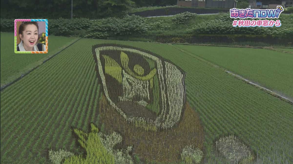 秋田内陸線上桧木内駅の田んぼアート