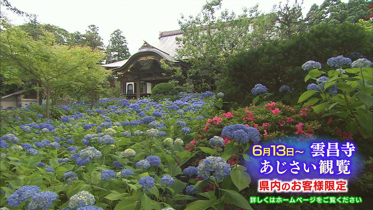 雲昌寺