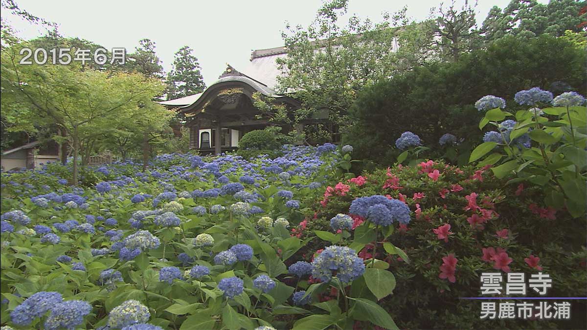 雲昌寺