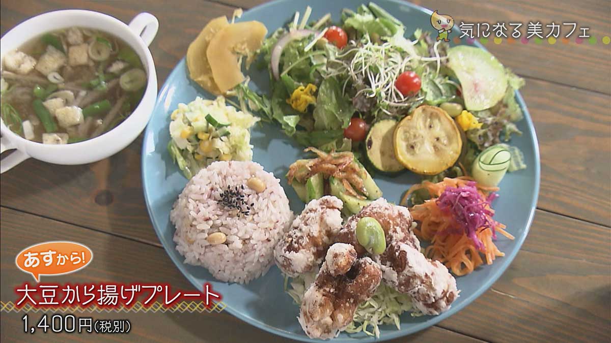 大豆から揚げプレート