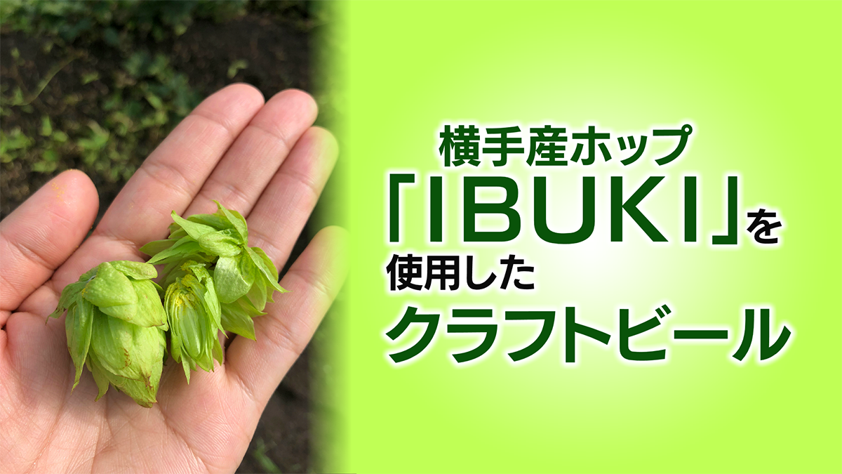 横手産ホップ「IBUKI」を使った クラフトビールとりんごの発泡酒をご紹介！