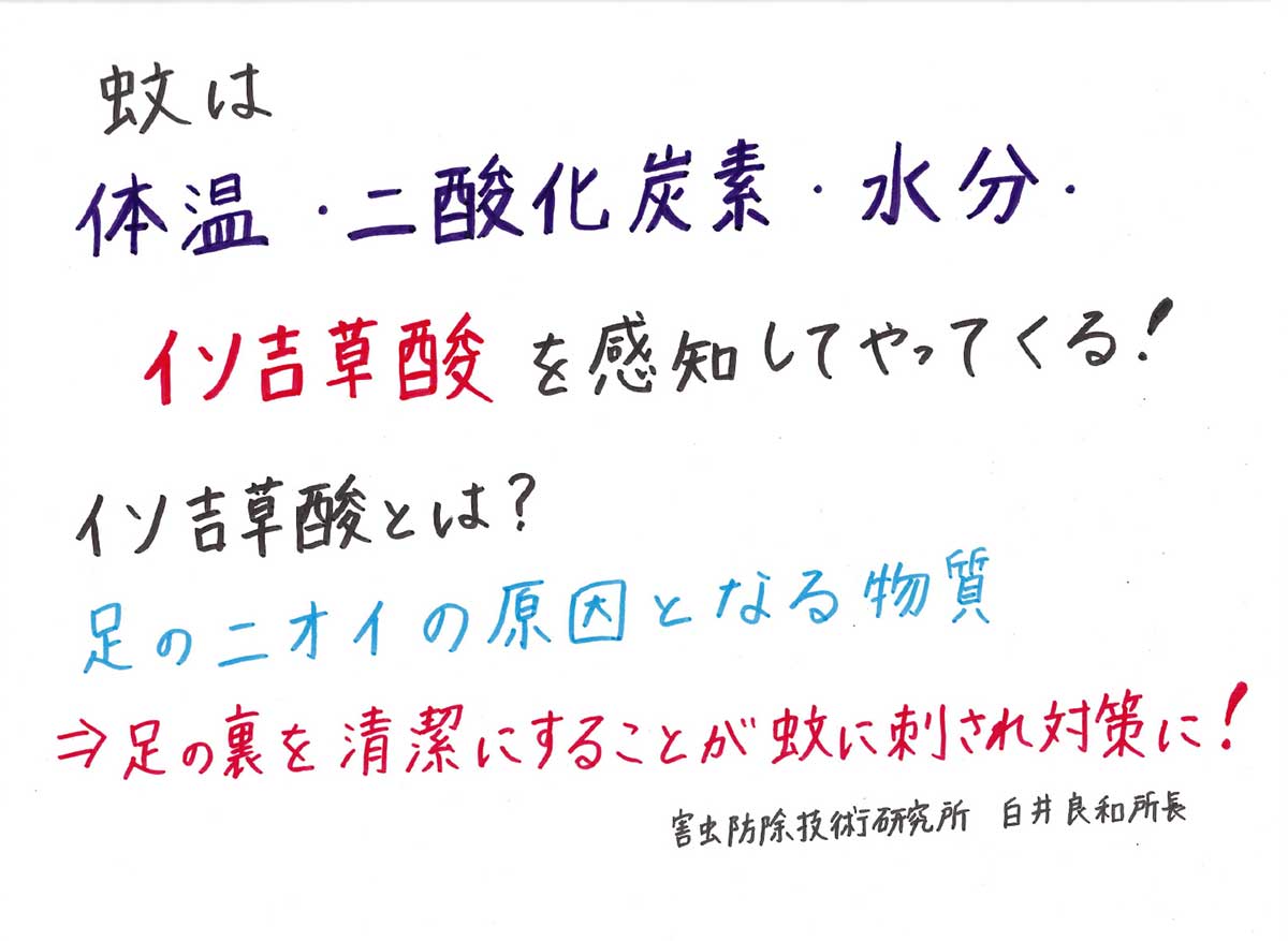 9月は蚊に注意！