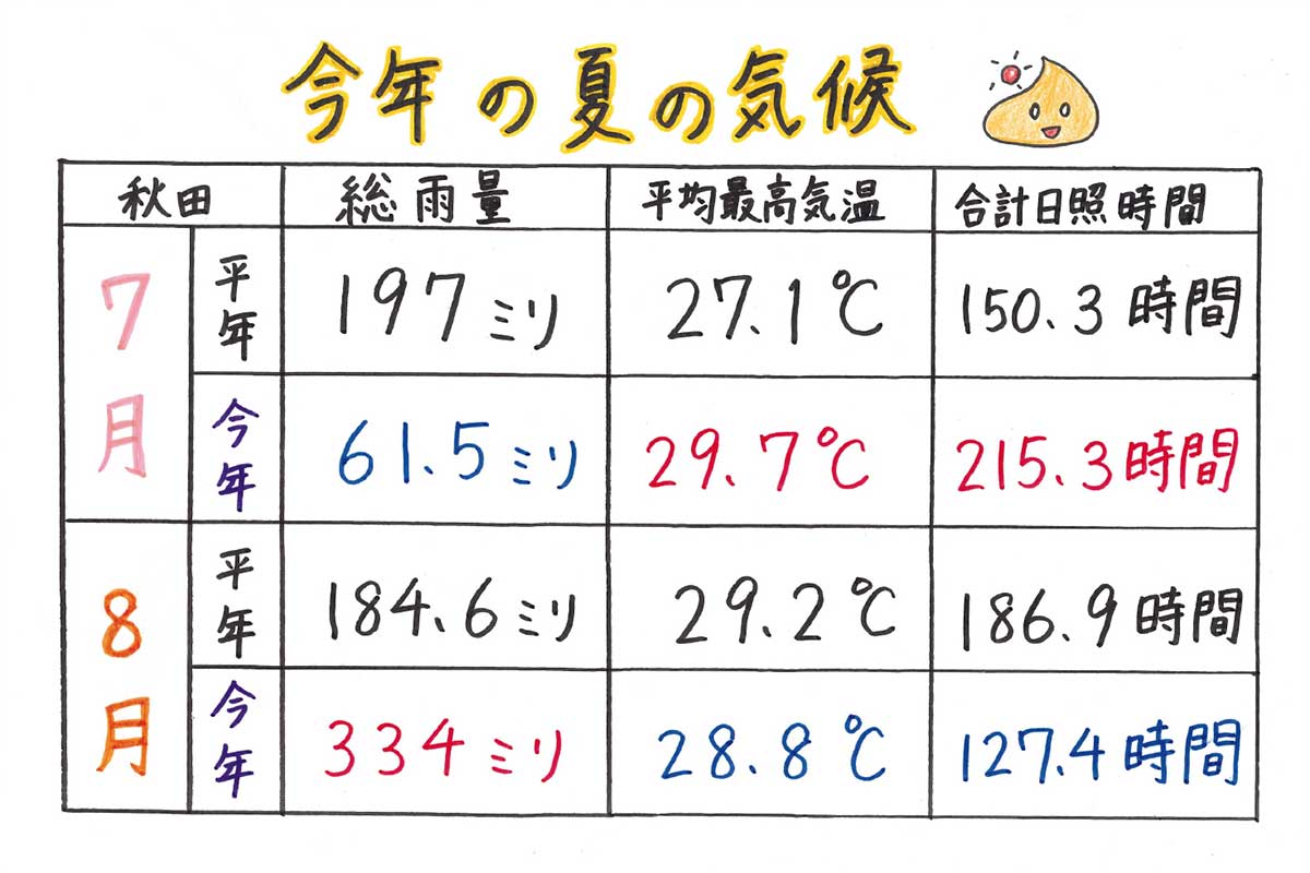 今年の夏の気候