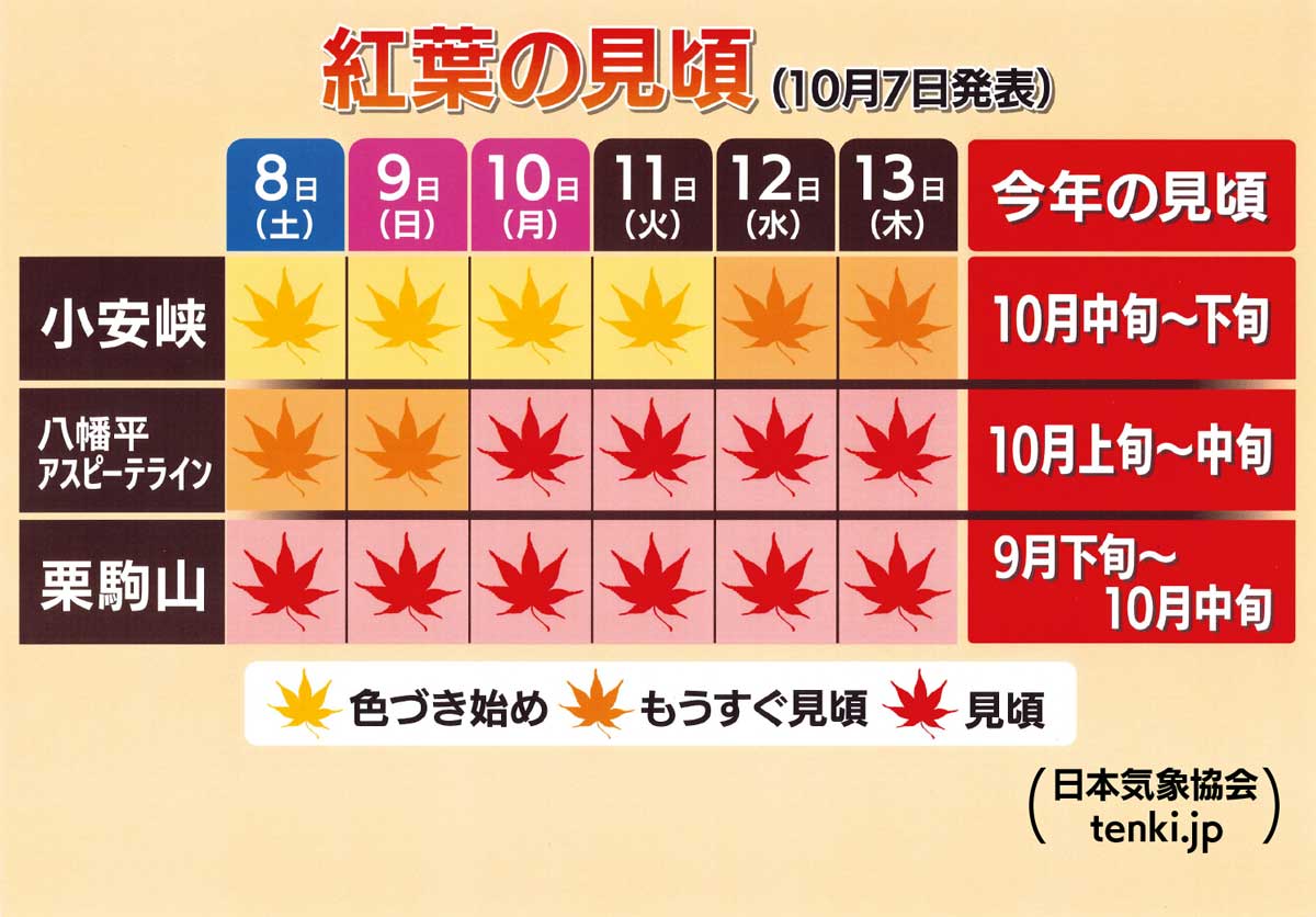 紅葉が進む条件