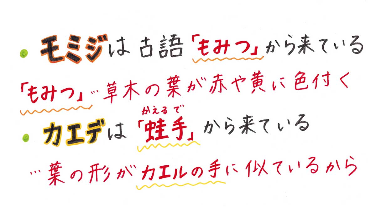 モミジとカエデの語源