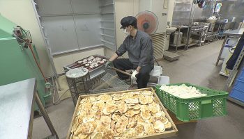 手焼き煎餅 金の鼎庵(きんのていあん) 20枚入 ギフト箱