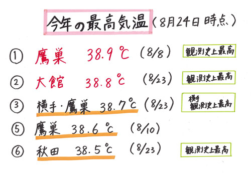 今年の最高気温