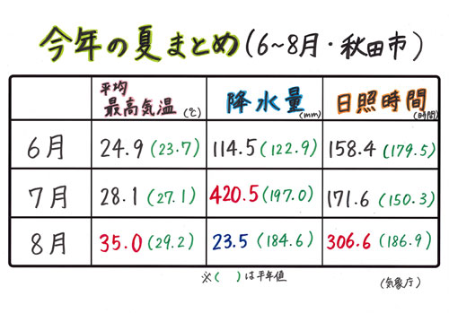 今年の夏まとめ