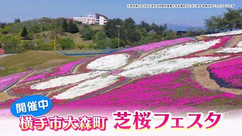 この時期のお出かけにピッタリな情報