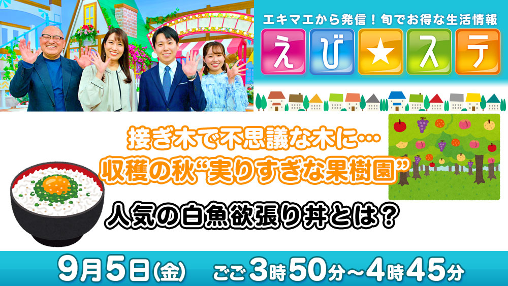 5日予告
