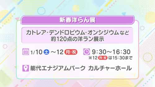 新春洋らん展
