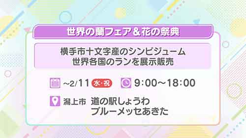 世界の蘭フェア＆花の祭典