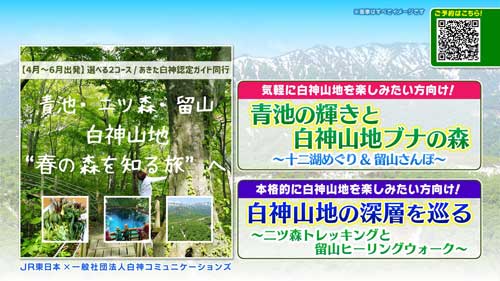 白神山地 “春の森を知る旅”