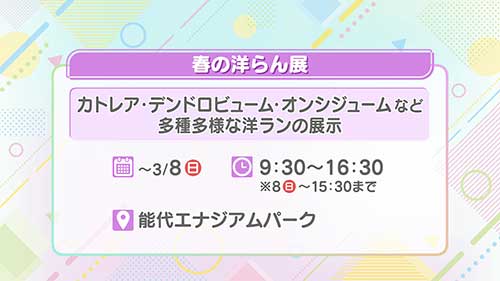 春の洋らん展