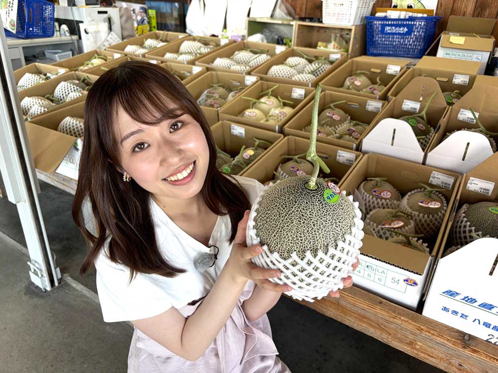 八竜メロン