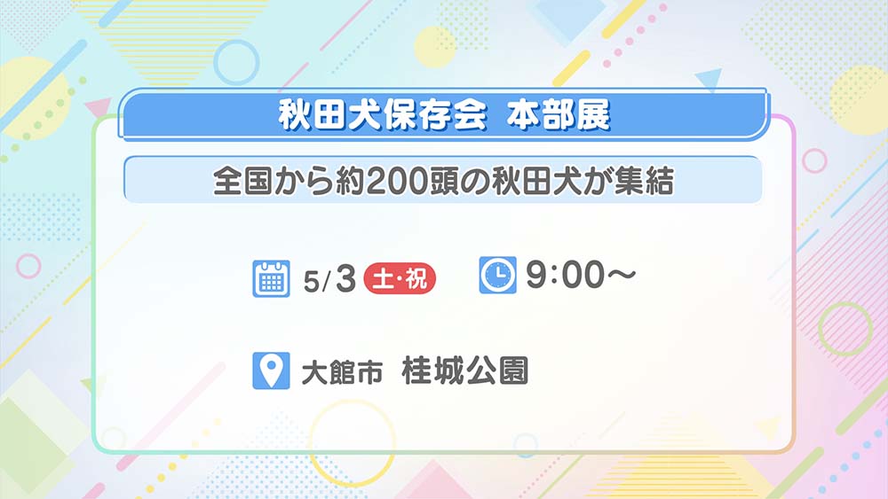 秋田犬保存会 本部展