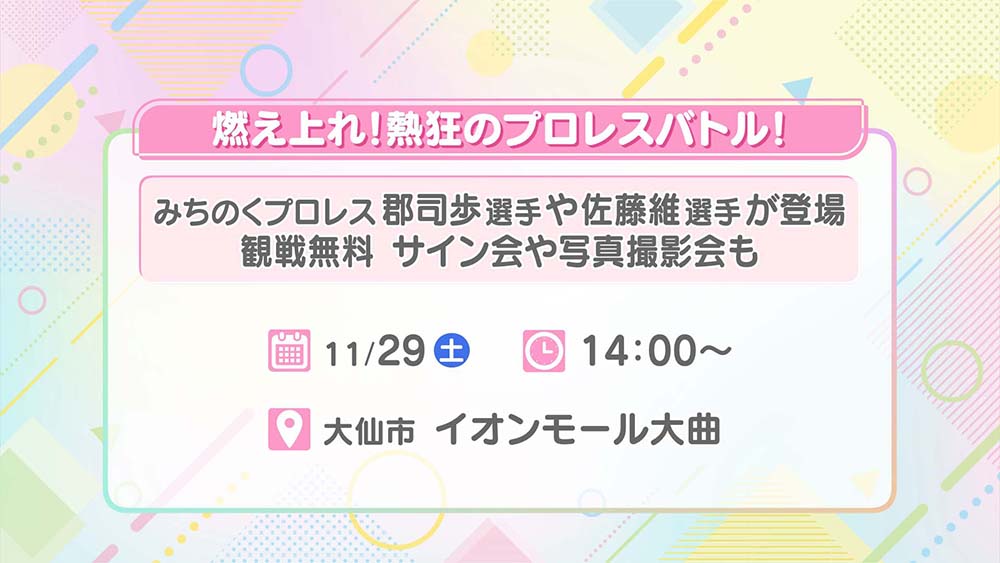 燃え上れ！熱狂のプロレスバトル！