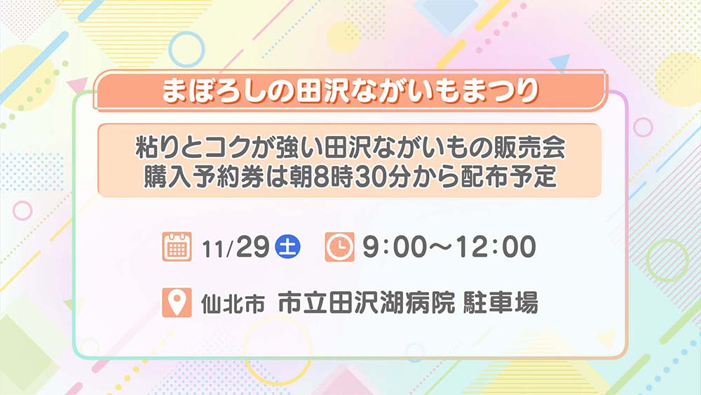 まぼろしの田沢ながいもまつり