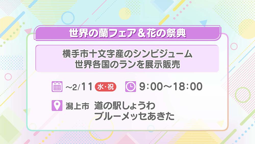 世界の蘭フェア＆花の祭典