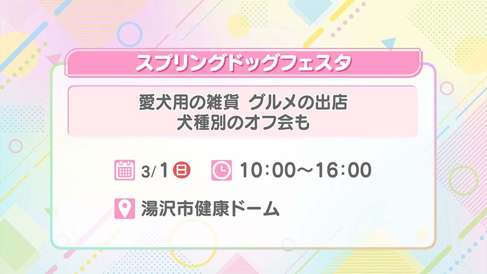 スプリングドッグフェスタ