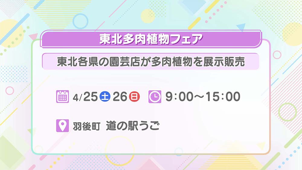 東北多肉植物フェア
