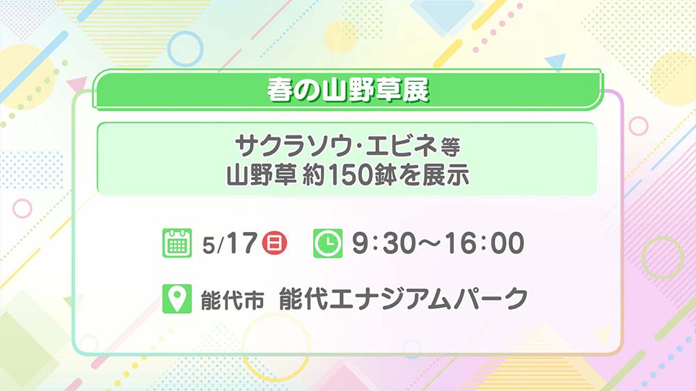 春の山野草展