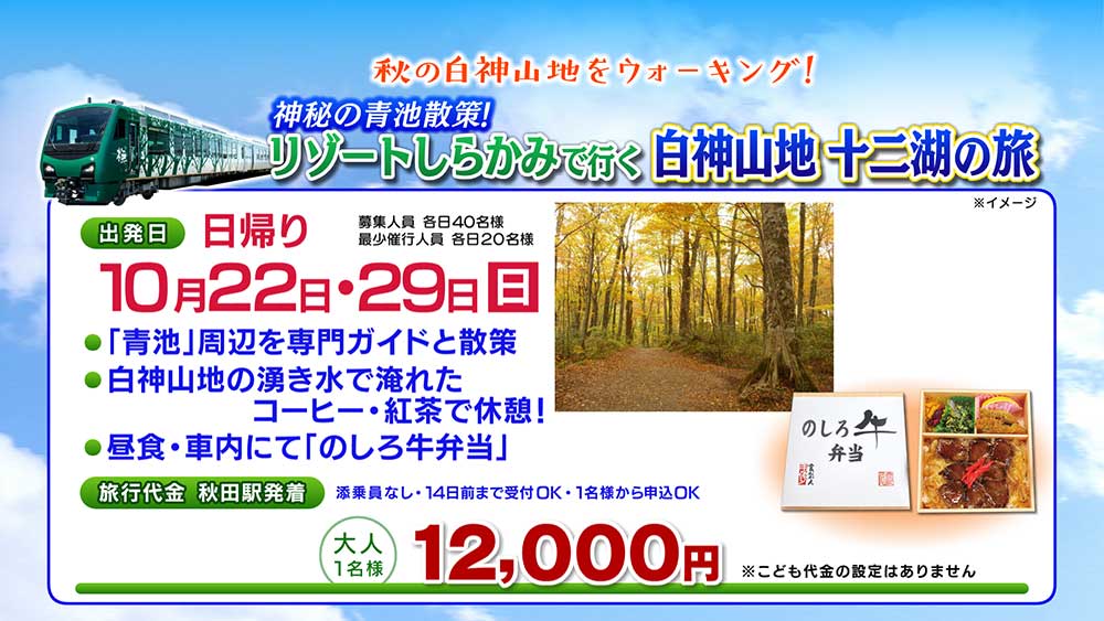 神秘の青池散策！リゾートしらかみで行く、白神山地 十二湖の旅