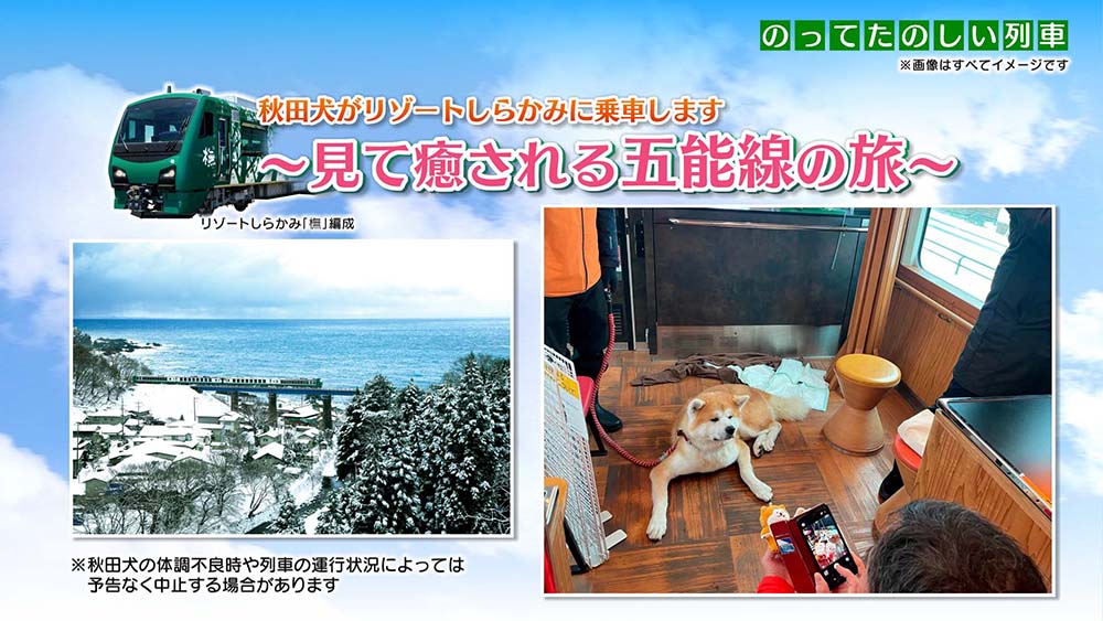 『リゾートしらかみ』で秋田犬『マサ』君と過ごす特別な時間