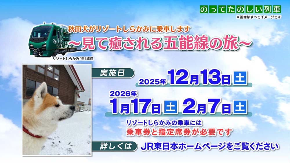 『リゾートしらかみ』で秋田犬『マサ』君と過ごす特別な時間