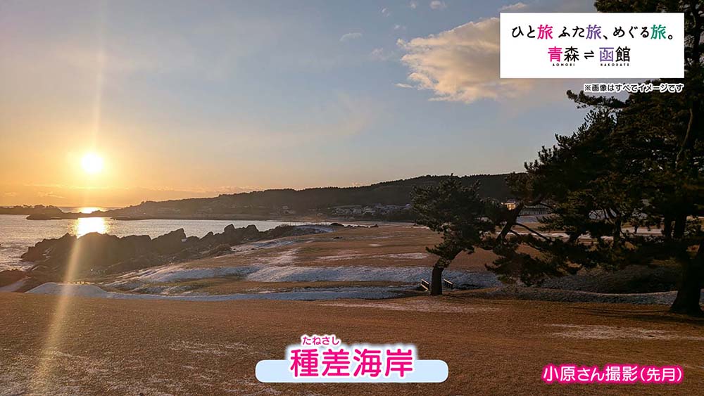 青森県・函館観光キャンペーン