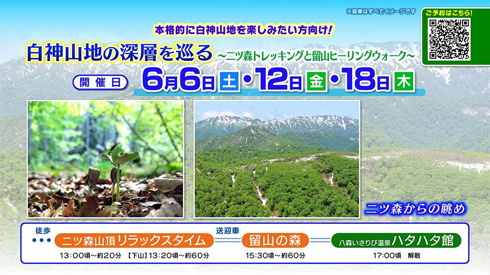 白神山地 “春の森を知る旅”