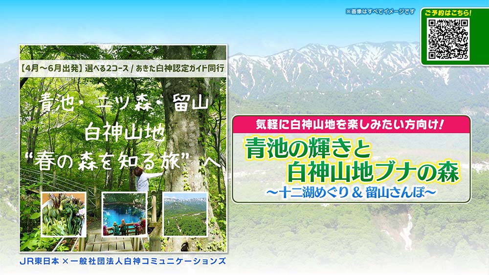 弘前さくらまつり