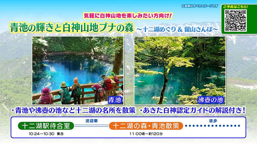 弘前さくらまつり