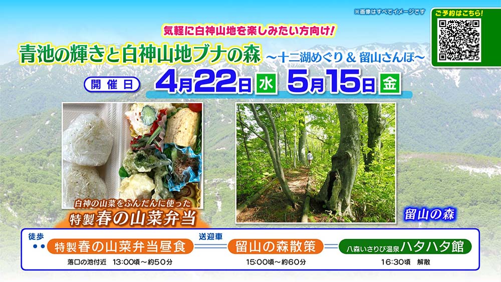 弘前さくらまつり