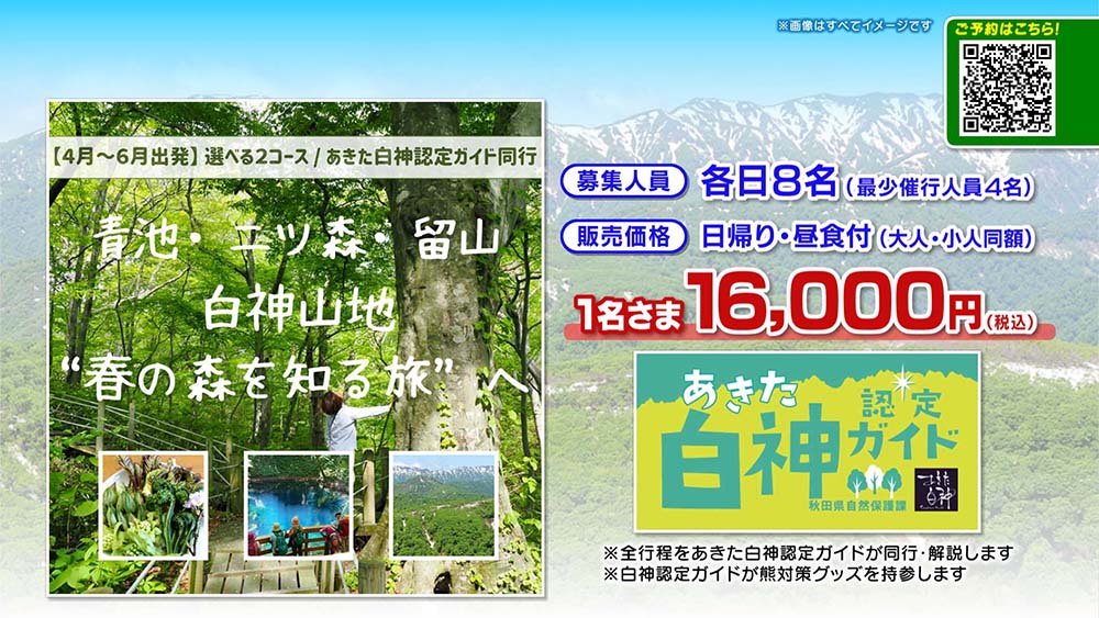 弘前さくらまつり