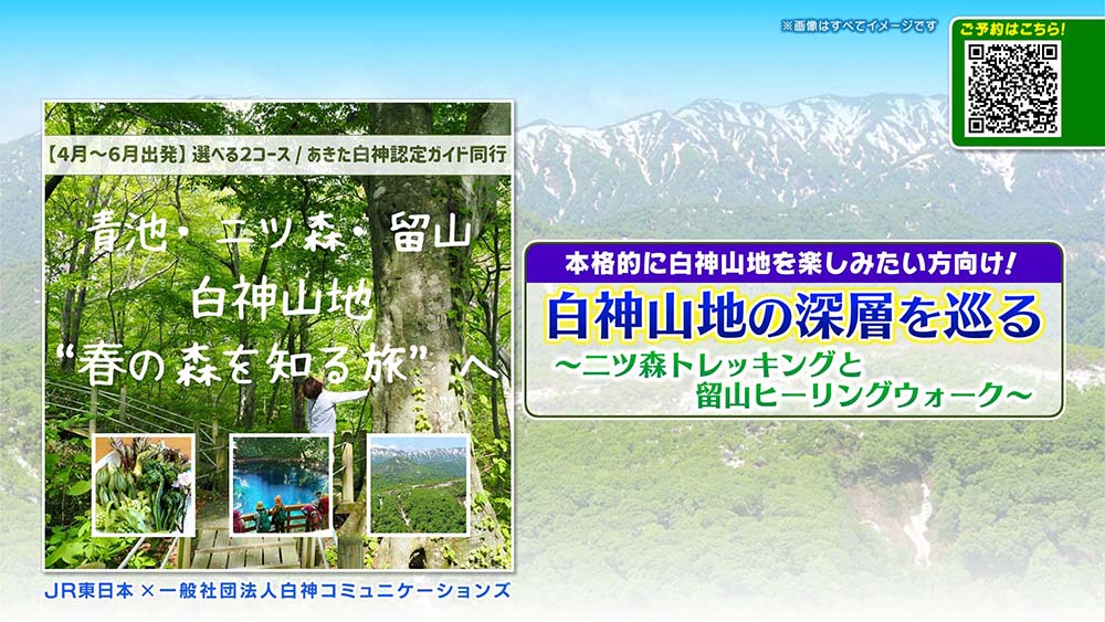 白神山地の深層を巡る二ツ森トレッキングと留山ヒーリングウォーク