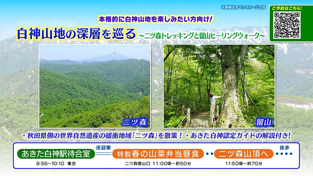 白神山地の深層を巡る二ツ森トレッキングと留山ヒーリングウォーク